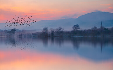 Silhouette of birds flying above the lake with misty morning at amazing sunset