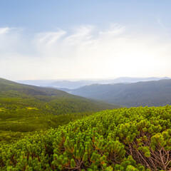 Fototapeta na wymiar green mountain valley covered by bush at the sunset