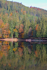 Picturesque lake in the autumn forest. Gorgeous scenery with a mirror reflection of a spruce forest on the water surface. Mountain Lake Synevyr in Carpathian, Ukraine. Zakarpattia.