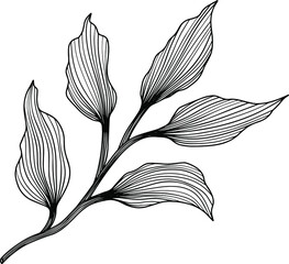 Leaves isolated on white. Hand drawn vector illustration. Eps 10