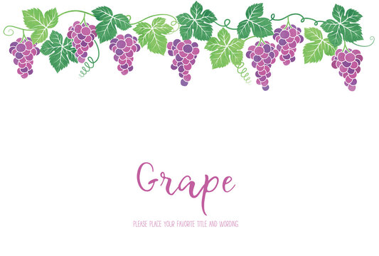 ぶどうイラストの背景フレーム素材 Stock Vector Adobe Stock
