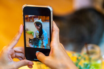 Young Asian woman sitting on floor playing and stroking adorable cat with happiness. Pretty girl enjoy indoor lifestyle with friendly cat at home. Pet and owner friendship and relationship concept