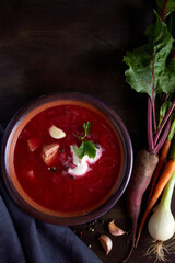 Traditional national Russian and Ukrainian soup borscht in a ceramic clay plate with fresh organic vegetables on a dark background. Copy space
