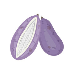 あけびのベクターイラスト