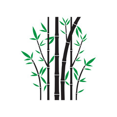 Bamboo plant, ink painting over white background, Vector illustration,