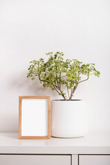 empty photo frame and plant in a pot mock up