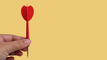 hand holding a red tulip