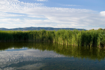 Paisaje de laguna con reflejos en verano.	