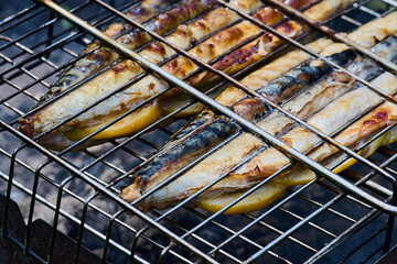 Barbecue of fish in nature in summer