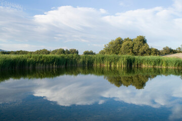 Fototapeta na wymiar Paisaje de laguna con reflejos en verano. 
