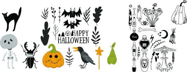 Vector set on the theme of Halloween with a bat, a pumpkin, a skeleton, a beetle, a deer, a raven, a cat.