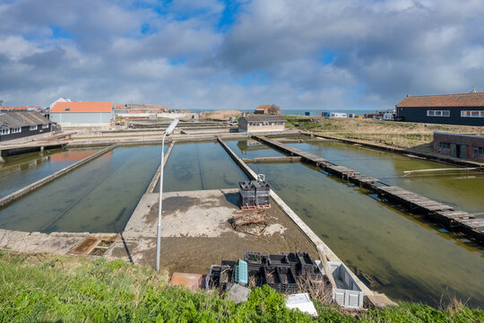 Oyster pits in Yerseke, Zeeland province, The Netherlands |\ Oesterputten in Yerseke, Zeeland province, The Netherlands