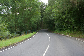 Fototapeta na wymiar road through welsh woodland