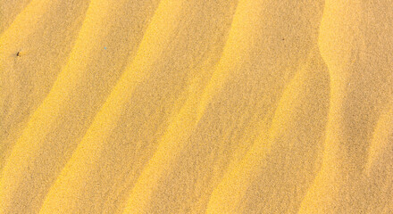 Sand texture background