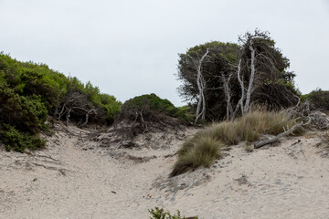 Torre dell'orso Puglia Two sisters