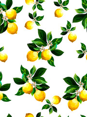 Obraz premium Lemon vector pattern. Seamless botanical illustration. Tenplate for bar, cafe, restaurant, print design.
