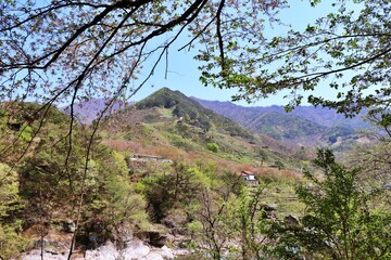 Fototapeta na wymiar mountain in spring