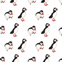 Vector white background ocean seabird, arctic birds, puffins. Seamless pattern background