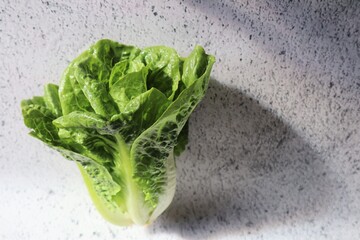 Green Fresh Organic Baby Cos Lettuce