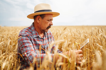 Young agronomist in grain field. Farmer in the  straw hat standing in a wheat field. Cereal farming. Growth nature harvest. Agriculture, gardening or ecology concept.