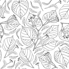 Linden blossom seamless pattern. Black outline contour on white background. Lime tree texture for packaging design. Vector illustration.