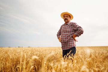 Naklejka na ściany i meble Young agronomist in grain field. Farmer in the straw hat standing in a wheat field. Cereal farming. Growth nature harvest. Agriculture, gardening or ecology concept.