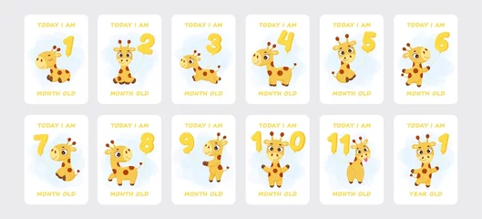 Foto op Plexiglas Baby milestone cards with cute little giraffe flying on number balloons for newborn girl or boy. Baby month anniversary card. Nursery print capturing all special moments. Stock vector illustration © Jexy