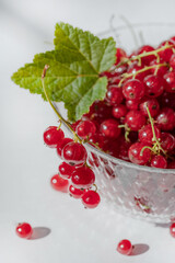 red currant in a glass bowl, green currant leaf