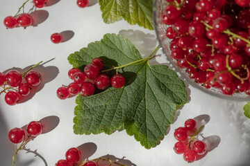 red currant in a glass bowl, green currant leaf