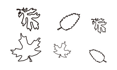 leaf line icon