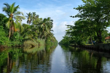 Foto op Plexiglas Hamilton Canal (Dutch Canal) road to the Muthurajawela wetlands in Negombo with a lush, tropical jungle, Sri Lanka. © jordi