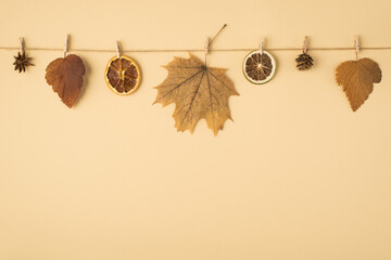 Top view photo of brown autumn leaves anise cone and dried citrus slices attached to twine rope...