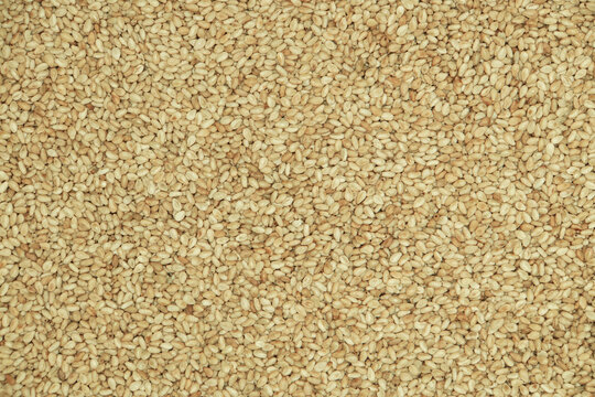 Toasted sesame seeds isolated on white background. Top view.