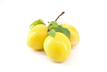 Yellow  wild plums on a white background