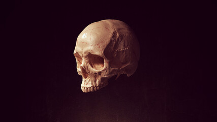 Skull Head Dead Bone Skeleton Anatomy Halloween 3d illustration render