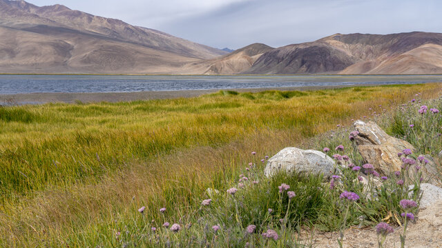 Scenic view of high-altitude Bulunkul lake off the Pamir Highway in Gorno-Badakhshan, Tajikistan