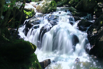 山鶏滝・やまどりたき（福島県・平田村）