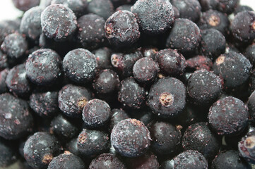 Fresh black currant berry frozen. Dietary nutrition, natural vitamins of summer.