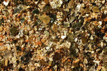 Sea sand (Malindi beach, Kenya) with golden like particles few ocean shell remains visible. 4x...