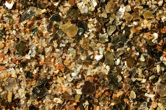 Sea sand (Malindi beach, Kenya) with golden like particles few ocean shell remains visible. 4x magnification microscope photo, image width = 9mm