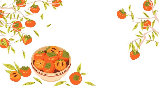 Persimmon tree branches with fruits and leaves. Ripe and juicy persimmon fruit in bowl. Frame for autumn harvest and Chuseok. Isolated vector illustration. Template design with cope space for text.