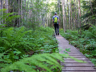 person with backpack walking on wooden hiking trail in sunny forest