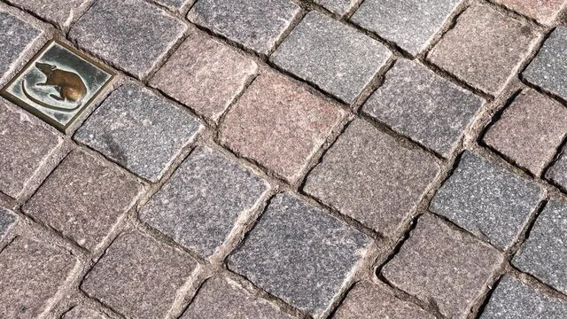 Hameln 25