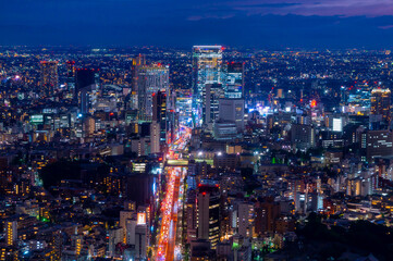 Fototapeta na wymiar 東京　渋谷夜景 2021