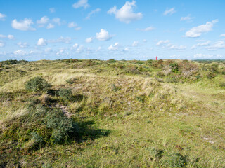 Fototapeta premium Westerduinen dunes and north tower lighthouse on Schiermonnikoog, Netherlands