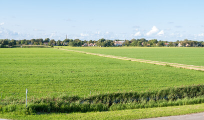 Fototapeta na wymiar Fields in polder and water tower on Frisian island Schiermonnikoog, Netherlands