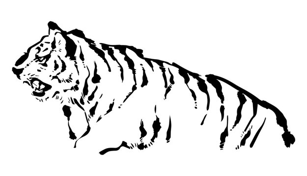 E271utrupgd3dm E271utrupgd3dm