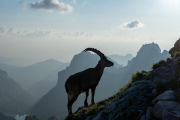 Alpstein in der Schweiz.