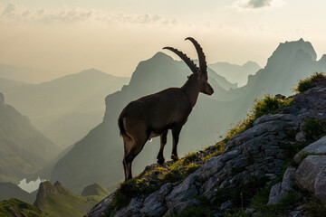 Alpstein in der Schweiz.