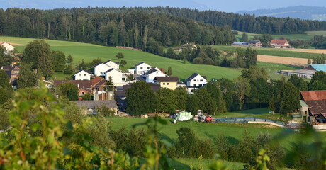 lucerne 